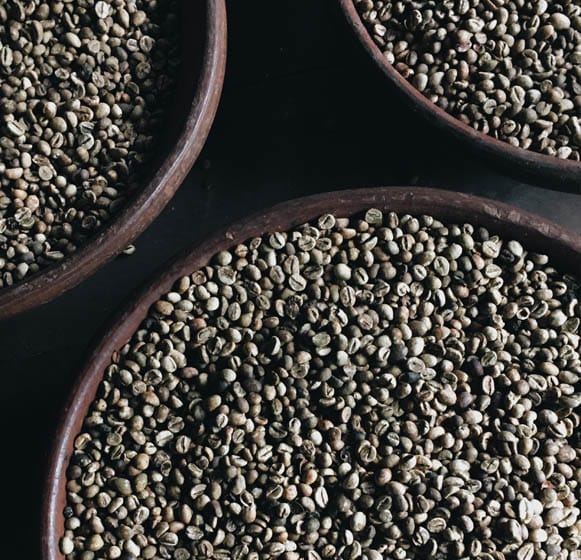 beans-in-containers